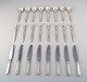 Georg Jensen Sterling Silver Block / Acadia Just Andersen.
Cutlery set 24 parts for eight.