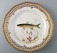 Royal Copenhagen flora Danica / fauna danica dinner plate with fish motifs.