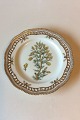 Royal Copenhagen Flora Danica frokosttallerken med gennembrudt kant no. 3554 / 
635