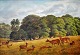 Schovelin, Axel 
(1827 - 1893) 
Dänemark: Tiere 
in Deer Park.