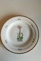 Royal Copenhagen Flora Danica Spisetallerken No 735/3549