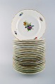 Royal Copenhagen Saxon Flower, 20 lunch plates.
Decoration Number 493/1623.