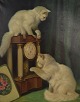 Arthur Heyer (1872-1931), Ungarnsk kunstner. 2 hvide katte i interiør.