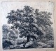 Waterloo, 
Anthonius (1610 
- 1690) 
Holland: Eine 
Straße ...