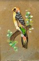 Vögel Bilder. 
China, 19. 
Jahrhundert.
