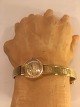 latest
new item latest
new item