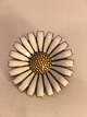 latest
new item latest
new item