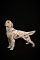 Royal Copenhagen porcelæns figur af  hund , Irsk setter. #3252.
H:14cm. L:19,5cm.