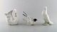 Nao, Zaphir and Germany. Three birds in glazed porcelain. 20th century.