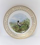 Royal Kopenhagen. Fauna Danica. Essteller. Modell # 240A - 3549. Durchmesser 25 
cm. (1 Wahl). Charadrius apricarius