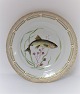 Royal Copenhagen. Fauna Danica. Fisketallerken. Middags tallerken. Model # 19 - 
3549. Diameter 25 cm. (1 sortering). Clupea harengus