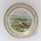 Royal Kopenhagen. Fauna Danica. Essteller. Modell # 240A - 3549. Durchmesser 25 
cm. (1 Wahl). Anser albifrons