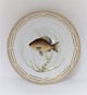 Royal Copenhagen. Fauna Danica. Fisketallerken. Middags tallerken. Model # 19 - 
3549. Diameter 25 cm. (1 sortering). Cyprinus carassius