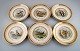 Royal Copenhagen. Set of six large dinner / decoration plates with hand painted 
bird motifs. Dated 1960.
