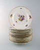 Royal Copenhagen Saxon Flower. Twelve dinner plates.
Decoration number 4/1621.