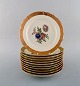 11 Royal Copenhagen tallerkener i porcelæn med blomstermotiver og guldkant. Midt 
1900-tallet.
