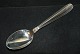 Dinner spoon 
Karina Silver
