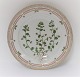 Royal Copenhagen Flora Danica. Dinner plate. Design # 3549. Diameter 25 cm. (1 
quality). Veronica agrestis L