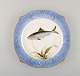 Arnold Krog for Royal Copenhagen. Fish service in hand-painted porcelain. Plate 
with fish. Early 20th century.
