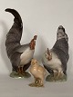 Rooster, Hen
& Chicken
Royal Copenhagen
Porcelain