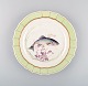 Royal Copenhagen fish plate with green edge, gold decoration and fish motif. 
Model 919/1710.
