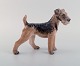 Dahl Jensen porcelain figure. Airedale Terrier. Model number 1079. 1940/30s.
