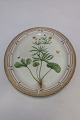 Royal Copenhagen Flora Danica Stor Servingsfad No 3520