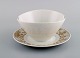 item no:
454645 item no:
454645