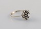 item no:
455496 item no:
455496