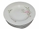 Cyclamen
Large soup plate 24 cm.