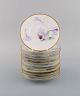 item no: 
462223
