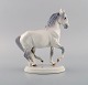 Jeanne Grut for Royal Copenhagen. Rare porcelain figure. Lippizan horse. Dated 
1969-1974.
