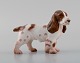 Bing & Grøndahl porcelænsfigur. Stående cockerspaniel. Modelnummer 2172. Midt 
1900-tallet.
