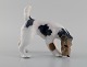 Royal Copenhagen porcelænsfigur. Ruhåret foxterrier. Modelnummer 3020. Dateret 
1889 - 1922.
