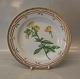 20-3549 Traditional Dinner Plate: Oenothera biennis L . New # 624 10" / 25 cm    
Flora Danica Danish Porcelain

