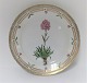 Royal Copenhagen Flora Danica. Mittagessen Platte. Entwurf #623 (3572). 
Durchmesser 22 cm. (1 Wahl). Lychnis alpina L