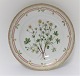 Royal Copenhagen, Flora Danica. Middags tallerken. Design #3549. Diameter 25 cm. 
(1 sortering). Potentilla verna L