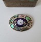 Beautiful Mexican Abelone brooch / pendant