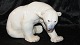 Bing and Grondahl Polar Bear
Deck # 1857
Knud Kyhn
Height: 21 cm.
Length 33 cm.
SOLD