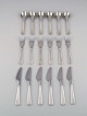 item no:
489890 item no:
489890