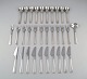 item no:
489891 item no:
489891