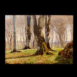 vare nr:
491739