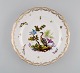 Antik og sjælden Meissen porcelænstallerken med håndmalede fugle, insekter og 
gulddekoration. 1800-tallet.
