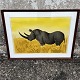 Hans ScherfigLitografiNæsehorn i solskin*25.000kr