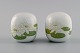 item no:
500166 item no:
500166