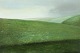 Dansk Kunstgalleri præsenterer: "Efter regn" Olie maleri på lærred i original naturramme. Maleriet er blevet ...