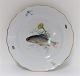 Meissen. Porcelæn. Fisketallerken. Diameter 25 cm