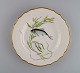 Royal Copenhagen porcelain dinner plate with hand-painted fish motif and golden 
border. Flora / Fauna Danica style. Dated 1968.
