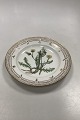 Royal Copenhagen Privatmalet Flora Danica Spisetallerken No. 3549