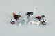 item no:
521305 item no:
521305